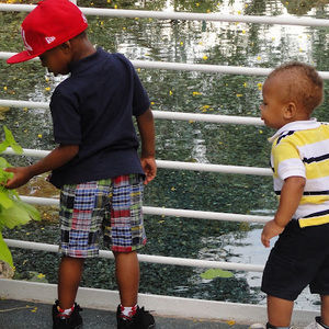 Meet your Posher, Dee